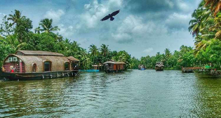 Rivière luxuriante avec des péniches traditionnelles sous un ciel nuageux.