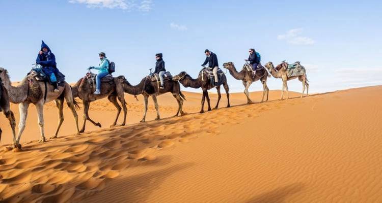 Un grupo montando camellos a través de las dunas de arena de un desierto bajo un cielo azul despejado.