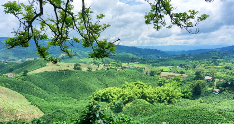 Paysage verdoyant luxuriant avec des collines ondulantes et des champs agricoles.