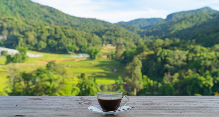 Une tasse de café sur une table donnant sur un paysage vallonné et verdoyant.