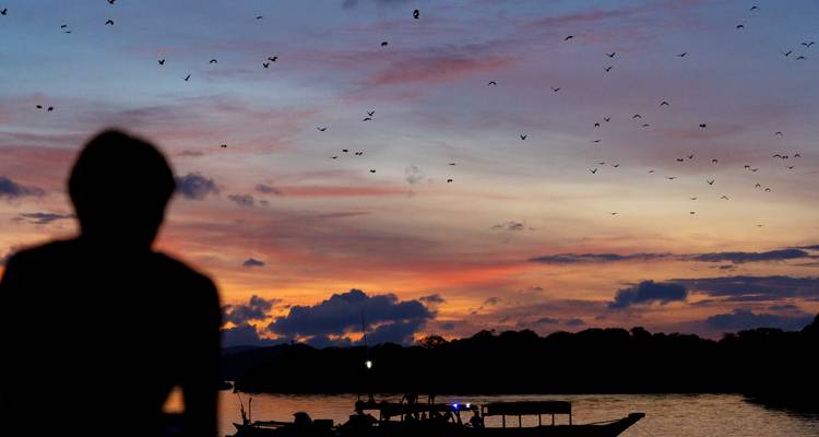 Silhouette d'une personne au coucher du soleil, avec des oiseaux qui volent au-dessus.