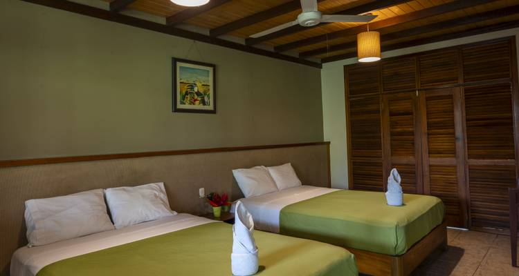 Intérieur d'une chambre d'hôtel avec deux lits et un ventilateur de plafond.