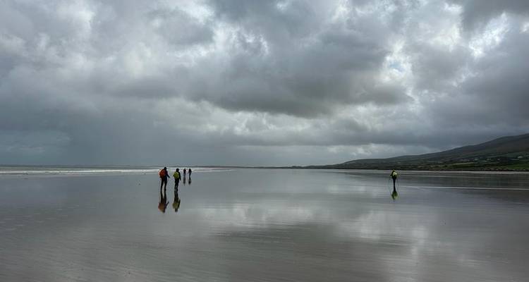 Small group of walkers reflected on a vast wet beach beneath dramatic grey clouds