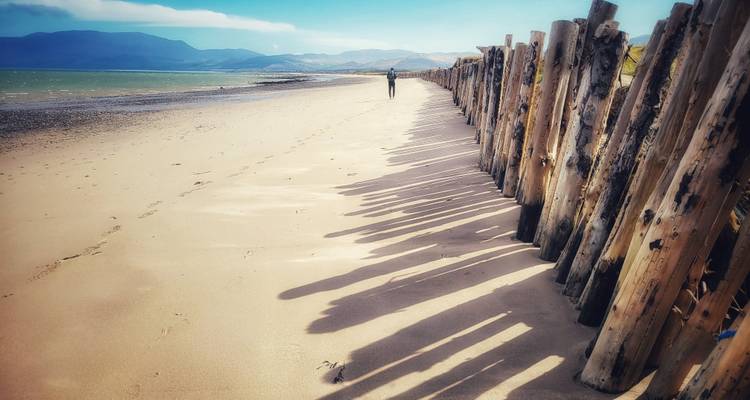 Long sandy beach lined with weathered wooden posts casting shadows, lone walker in distance