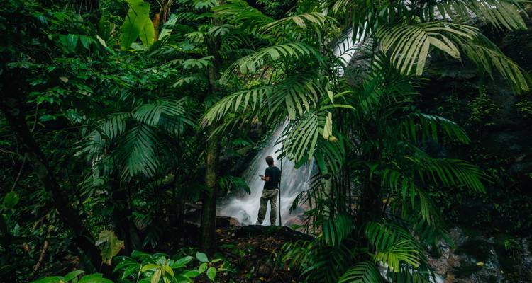 Persona de pie junto a una cascada en un exuberante entorno selvático.