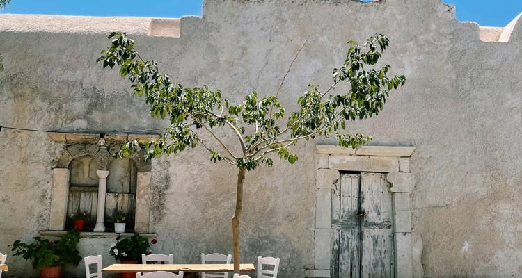Café en plein air avec tables et chaises sous un arbre.