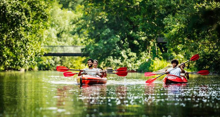 Trois amis pagaient dans des kayaks rouges le long d'une rivière calme bordée d'arbres par une journée ensoleillée.