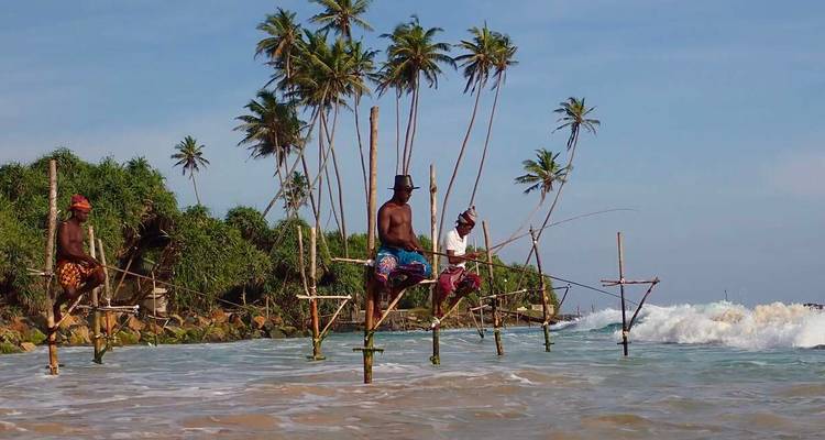 Pêcheurs traditionnels sur échasses perchés au-dessus de douces vagues près d'un rivage bordé de palmiers