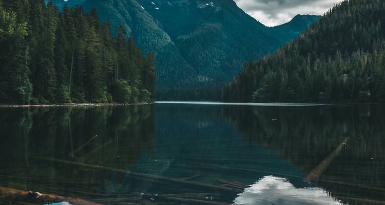 Un lago sereno rodeado de denso bosque y montañas.