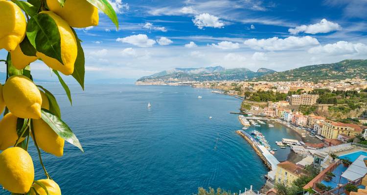 Limones frescos colgando en primer plano con vista a un extenso pueblo costero y mar azul profundo