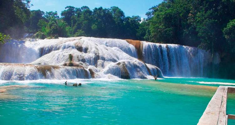 Las cascadas turquesa de la catarata Agua Azul se precipitan en una piscina natural rodeada de exuberante vegetación selvática.