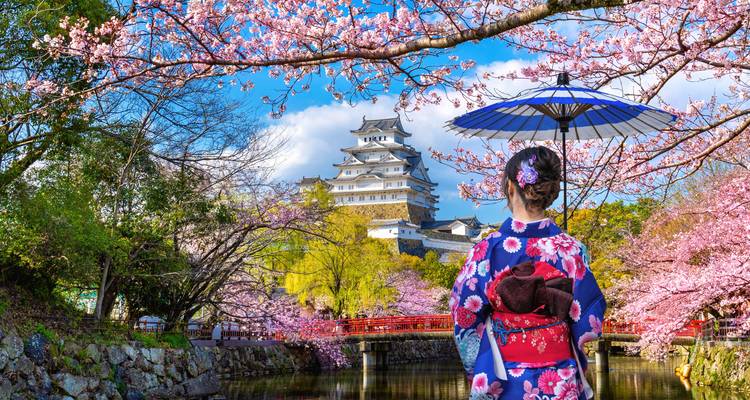 Femme en kimono sous les cerisiers en fleurs avec un château en arrière-plan.
