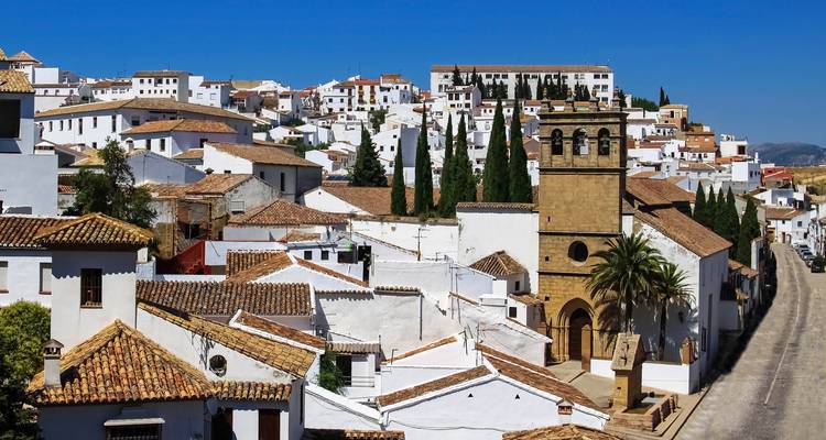Vue éclatante d'une ville traditionnelle aux bâtiments blanchis à la chaux.