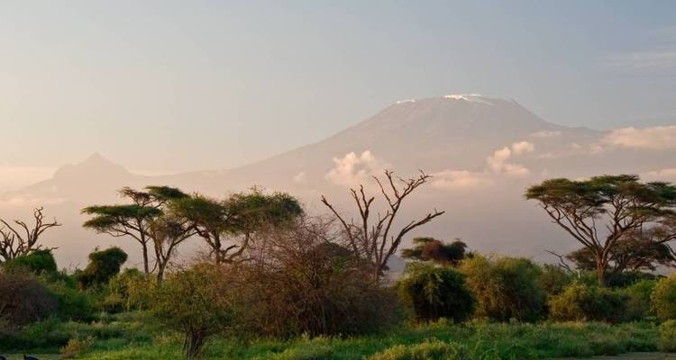 Vue panoramique d'une montagne avec des arbres au premier plan.