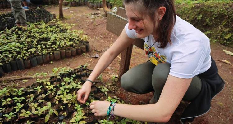 Personne plantant des plants dans un jardin.