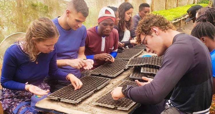 Groupe travaillant sur des plateaux de semis.