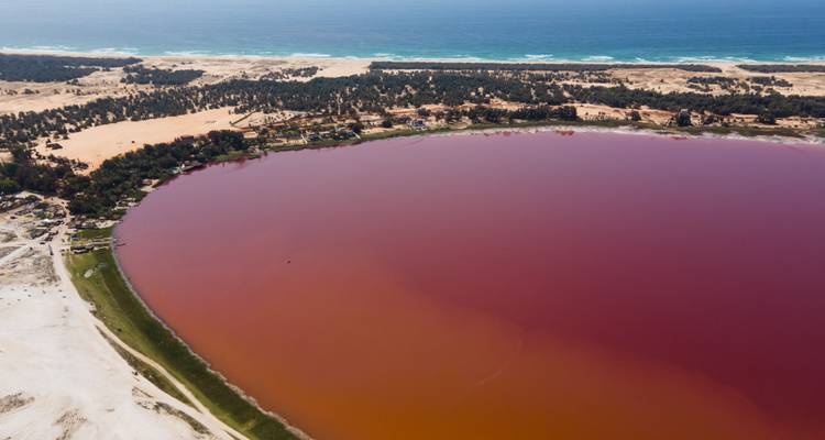 Vue aérienne d'un lac rose contrastant avec le paysage environnant.