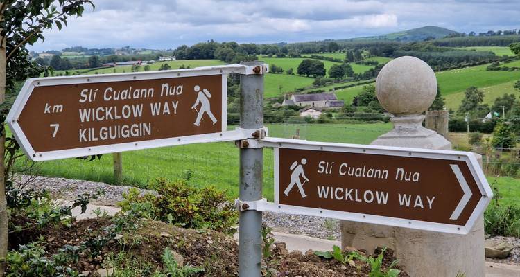 Brown Wicklow Way direction signs beside rolling green farmland and distant hills