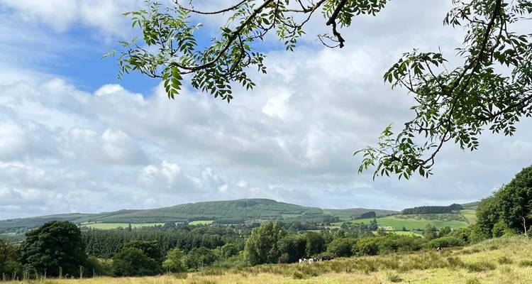Pastoral Irish countryside with rolling wooded hills under partly cloudy skies