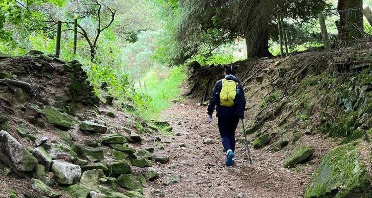 Hiker with trekking pole walks a stony woodland path lined with mossy rocks