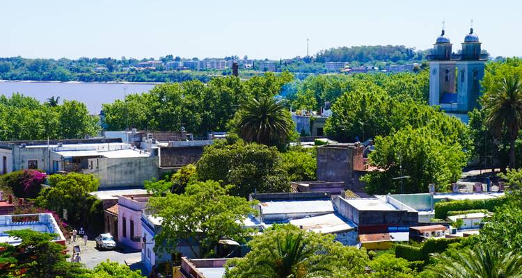 Paysage urbain avec des arbres et une cathédrale au bord de la rivière.