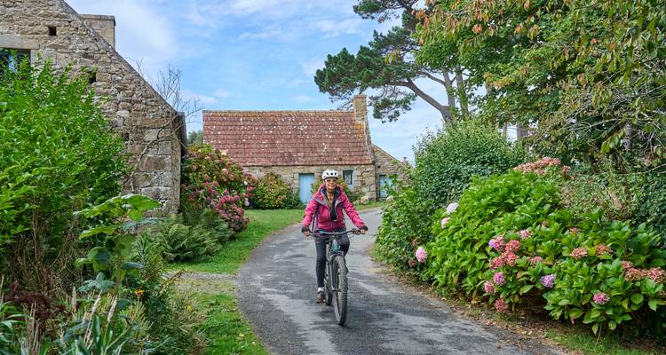 Personne faisant du vélo sur un sentier entouré de verdure luxuriante et de cottages.