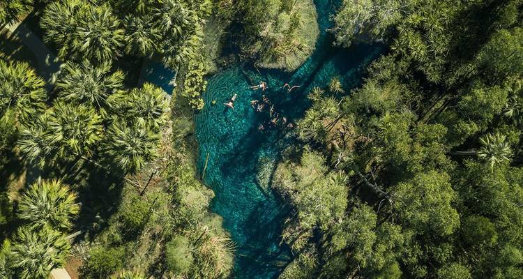 Vue aérienne de nageurs dans un bassin naturel limpide entouré d'une forêt luxuriante.