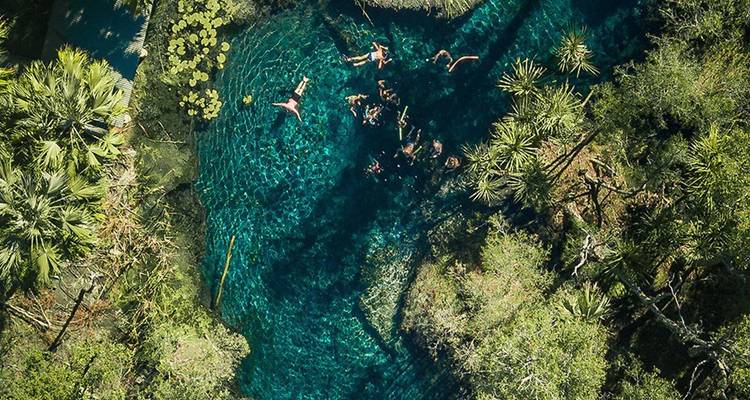 Vista aérea de personas nadando en un manantial turquesa cristalino rodeado de exuberante vegetación tropical y palmeras.
