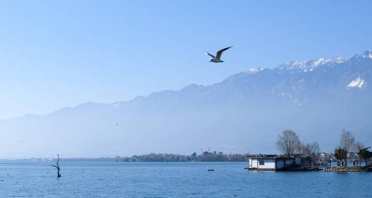 Une vue panoramique d'un lac avec un oiseau qui vole et des montagnes en arrière-plan.
