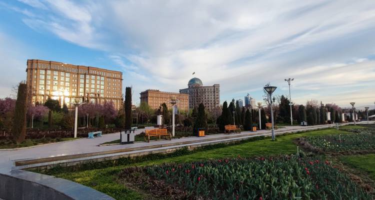 Un parque urbano pintoresco con árboles, senderos y una persona caminando.