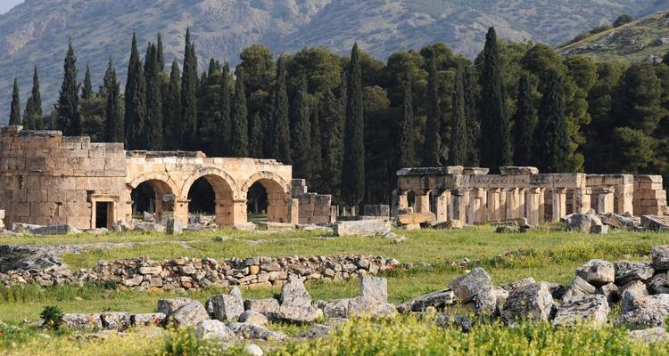 Ancient ruins set in a green landscape with trees.