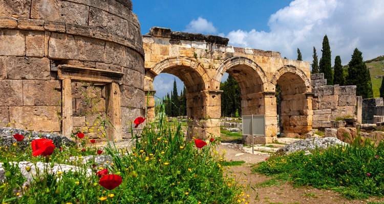 Ancient arch structures surrounded by colorful flowers.