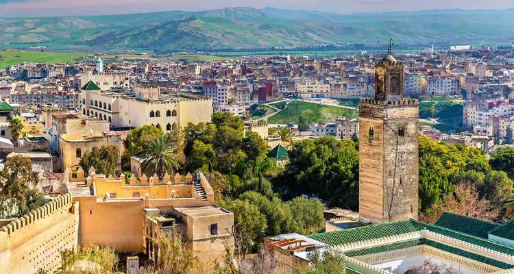 Panoramablick auf Fès mit historischer Architektur und grünen Landschaften.
