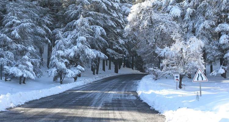 Camino de bosque cubierto de nieve en invierno.