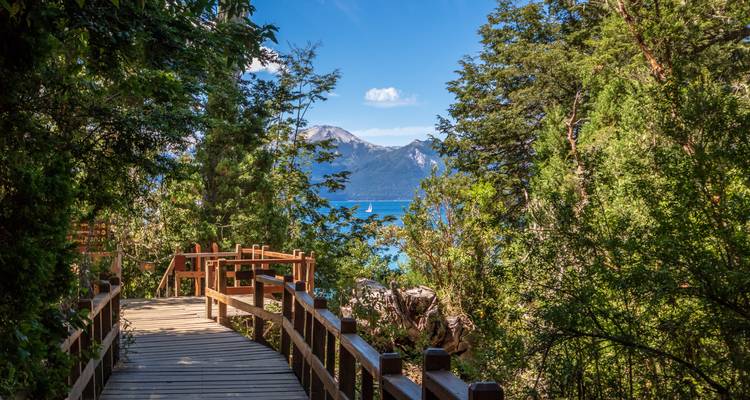 Une passerelle en bois entourée d'une forêt dense menant à une vue lointaine sur la montagne.