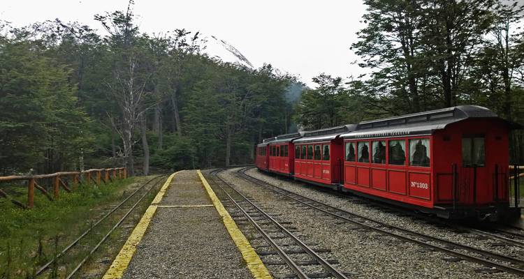 Un train rouge sur des rails serpentant à travers une zone boisée.