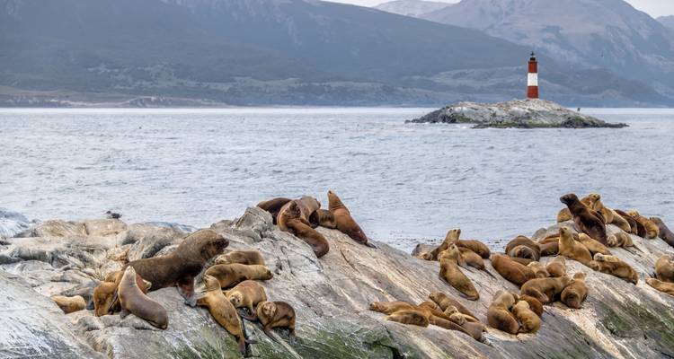 Des rochers couverts d'otaries, à côté d'un phare.