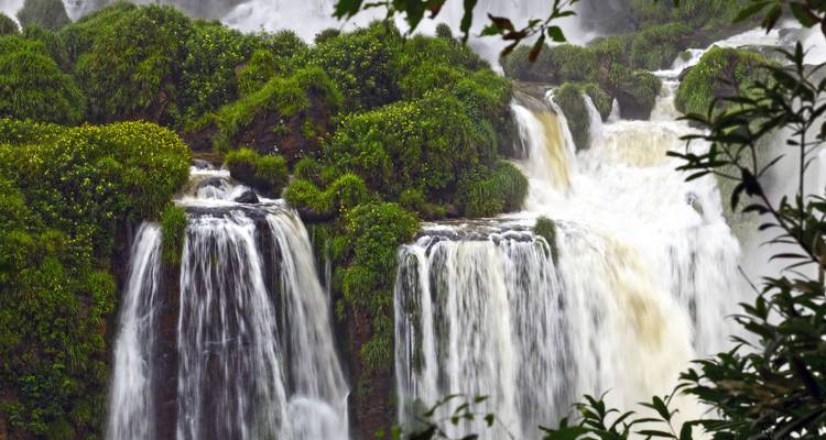 Üppige grüne Wasserfälle, die über felsige Klippen hinabstürzen.