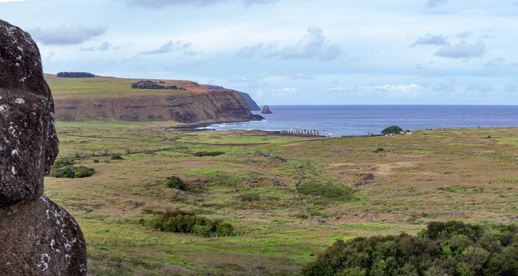 Paisaje herboso con costa distante y estatuas de piedra dispersas.