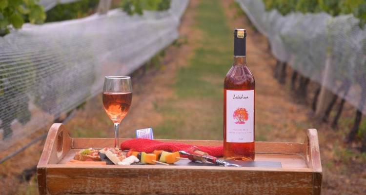 Una mesa puesta con vino y queso en un viñedo