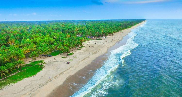 Vista panorámica de una larga playa bordeada de cocoteros y gente.