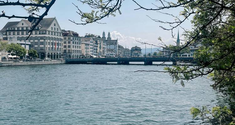 Paysage urbain au bord de la rivière vu à travers des branches feuillues avec des bâtiments historiques longeant le front de mer.