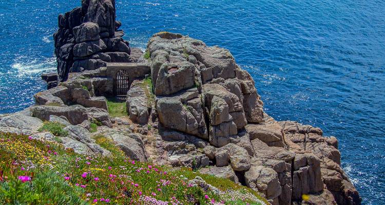 Paysage côtier rocheux avec fleurs sauvages et vue sur l'océan.