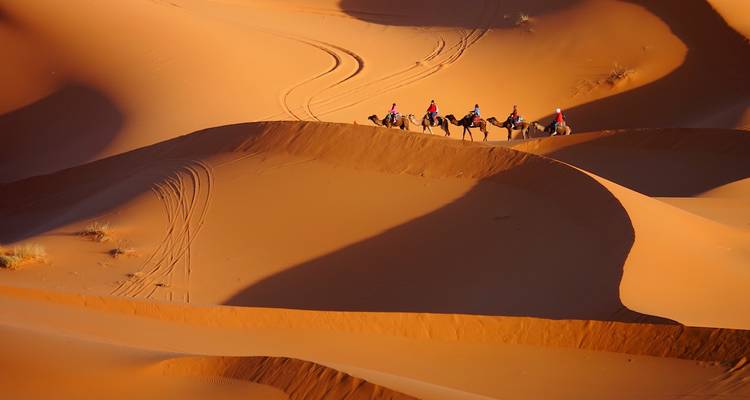Kameltrekking durch die Dünen von Erg Chebbi, Marokko.