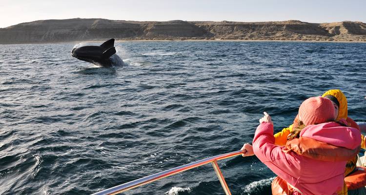 Ballena saltando cerca de un barco con personas observando.