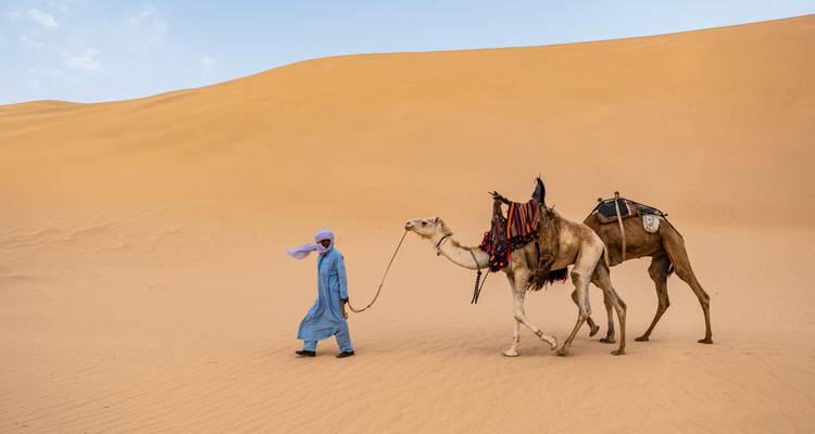 Persona caminando camellos en un desierto con dunas de arena.