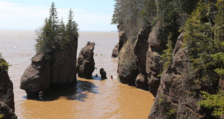 Kajakkers peddelen tussen torenhoge rotsformaties bij Hopewell Rocks in de Baai van Fundy.