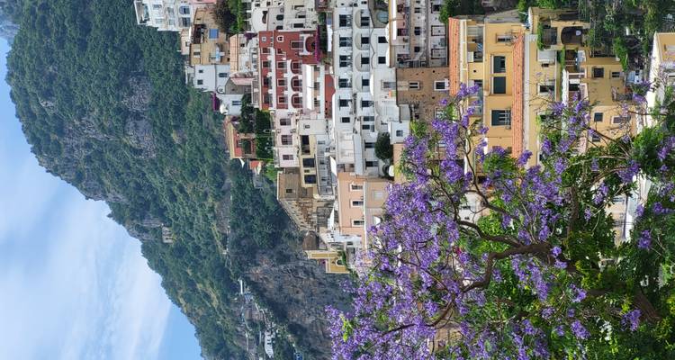 Pueblo colorido en la ladera con vegetación exuberante y flores.