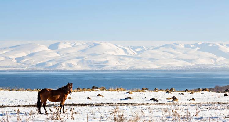 Un caballo solitario se encuentra en un campo nevado contemplando las aguas azul profundo del Lago Sevan con montañas cubiertas de nieve al fondo.