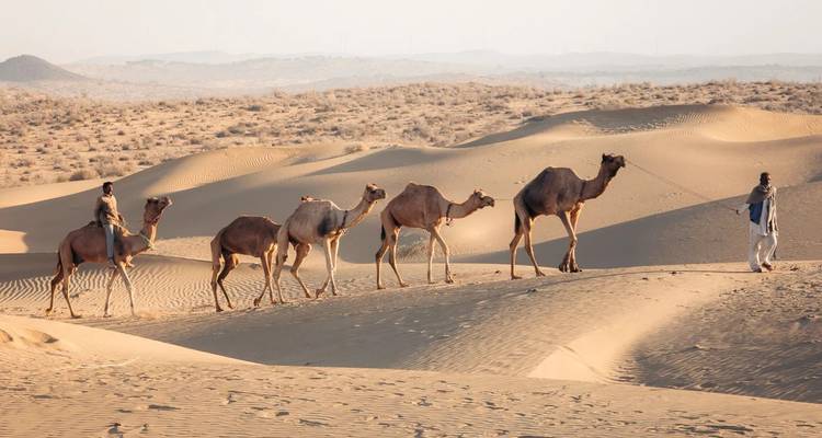 Personas montando camellos a través de un paisaje desértico.